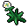 kings_sorrel.gif
