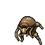 Field Raider
