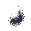 Insect Swarm